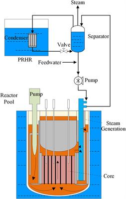 Safety analysis of representative accidental transients for a 100 MWe small modular LBE-cooled reactor